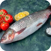 Sea Food