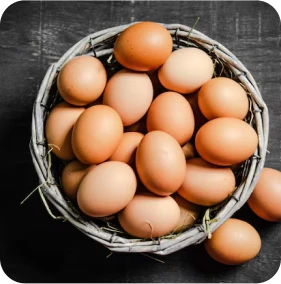 Desi Eggs