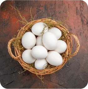 Eggs
