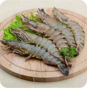 Prawns Big