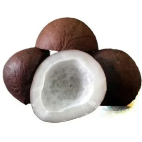 Dry Coconut